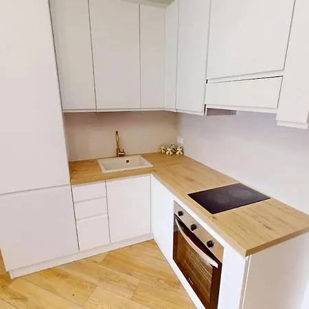 118e - Agreable 2p Climatise Avec Terrasse Appartement